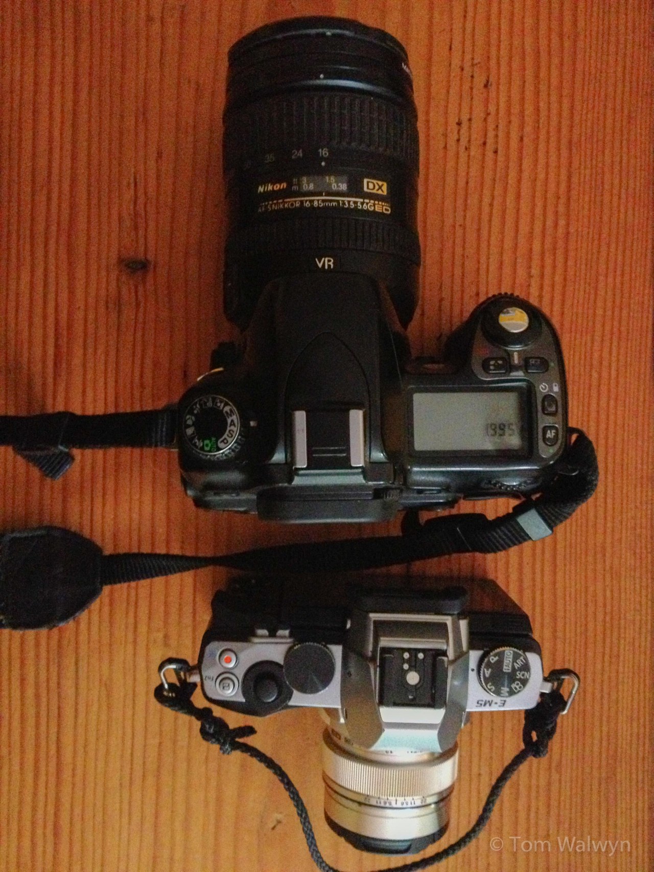David and Goliath - the Nikon D80/16-85mm vs the Olympus OM-D EM-5/12mm
